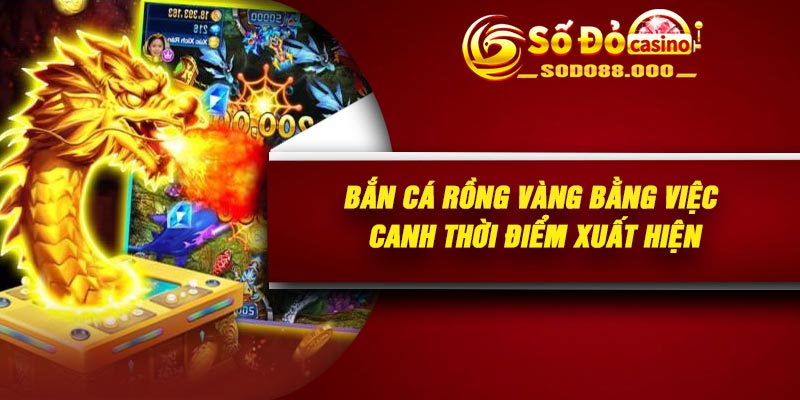 Bắn cá rồng vàng bằng việc canh thời điểm xuất hiện