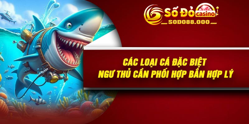 Các loại cá đặc biệt ngư thủ cần phối hợp bắn hợp lý