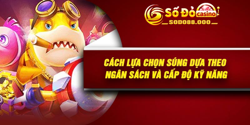 Cách lựa chọn súng dựa theo ngân sách và cấp độ kỹ năng