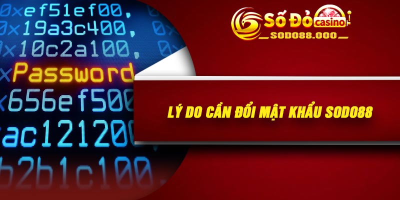 Lý do cần đổi mật khẩu Sodo88