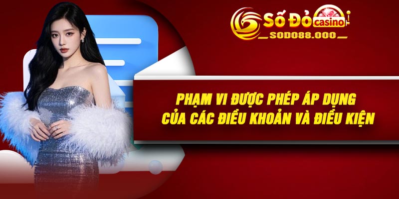 Phạm vi được phép áp dụng của các điều khoản và điều kiện