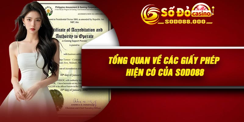 Tổng quan về các giấy phép hiện có của Sodo88